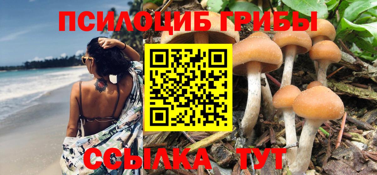Псилоцибиновые грибы MAGIC MUSHROOMS Гай