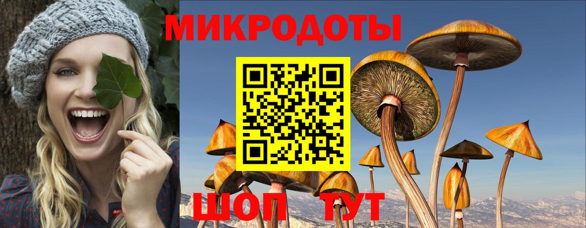 Галлюциногенные грибы Psilocybe  купить наркотик  Гай  Вход с VPN 